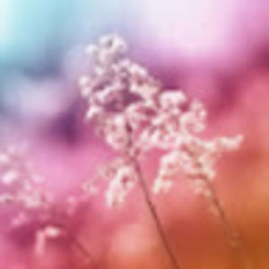 Meet your Posher, Annemarie